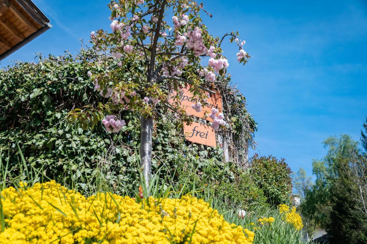 رودينغو Panorama Residence Schlossblick المظهر الخارجي الصورة